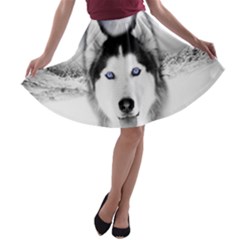 A-line Skater Skirt 