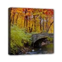 Mini Canvas 6  x 6  (Stretched) 