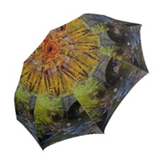 Folding Umbrella 