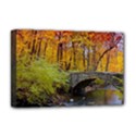 Deluxe Canvas 18  x 12  (Stretched) 
