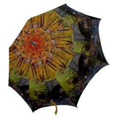 Hook Handle Umbrella (Large) 