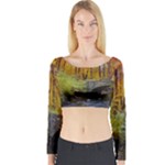 Stone Country Bridge Long Sleeve Crop Top