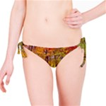 Stone Country Bridge Bikini Bottom