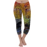 Stone Country Bridge Capri Winter Leggings 