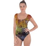 Stone Country Bridge Short Sleeve Leotard 