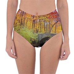 Reversible High-Waist Bikini Bottoms 