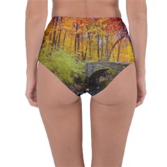 Reversible High-Waist Bikini Bottoms 