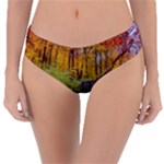 Stone Country Bridge Reversible Classic Bikini Bottoms