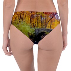 Reversible Classic Bikini Bottoms 