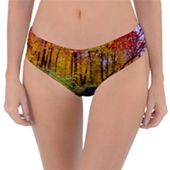 Reversible Classic Bikini Bottoms 