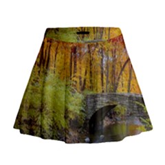 Mini Flare Skirt 