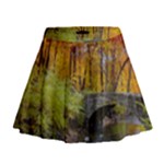 Stone Country Bridge Mini Flare Skirt