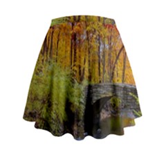 Mini Flare Skirt 