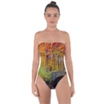 Stone Country Bridge Tie Back One Piece Swimsuit