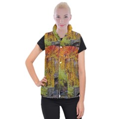 Stone Country Bridge Women s Button Up Vest from ArtsNow.com