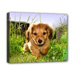 Puppy In Grass Canvas 10  x 8  (Stretched)