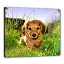 Canvas 24  x 20  (Stretched) 