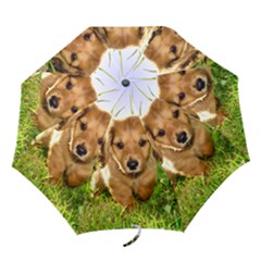 Folding Umbrella 