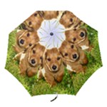 Puppy In Grass Folding Umbrella