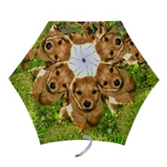 Mini Folding Umbrella 