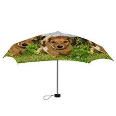 Mini Folding Umbrella 
