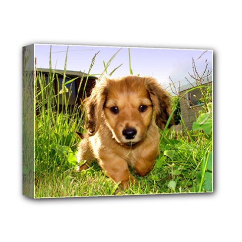 Puppy In Grass Deluxe Canvas 14  x 11  (Stretched) from ArtsNow.com