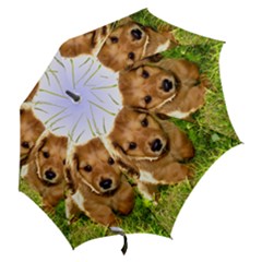Hook Handle Umbrella (Medium) 