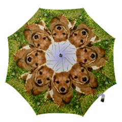 Hook Handle Umbrella (Large) 