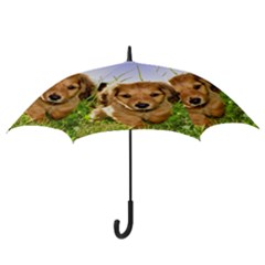 Hook Handle Umbrella (Large) 
