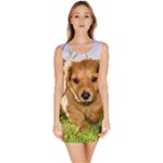 Puppy In Grass Bodycon Dress