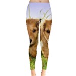 Puppy In Grass Leggings 