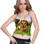 Puppy In Grass Spaghetti Strap Bra Top