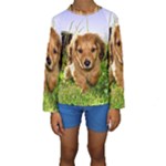 Puppy In Grass Kids  Long Sleeve Swimwear