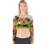 Puppy In Grass Long Sleeve Crop Top