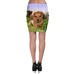 Bodycon Skirt 