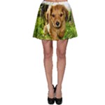 Puppy In Grass Skater Skirt