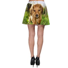 Skater Skirt 