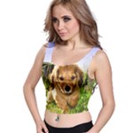 Puppy In Grass Crop Top