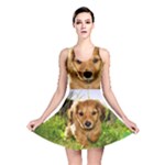 Puppy In Grass Reversible Skater Dress