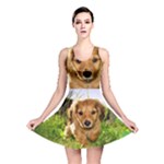 Puppy In Grass Reversible Skater Dress