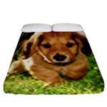 Puppy In Grass Fitted Sheet (Queen Size)