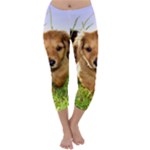 Puppy In Grass Capri Winter Leggings 