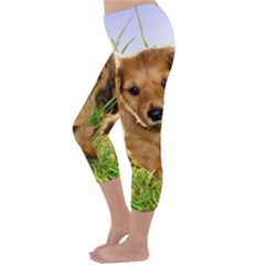 Capri Winter Leggings Back Capri Winter Leggings Back