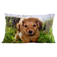 24 x16  Lumbar Throw Cushion Case (Two Sides) 