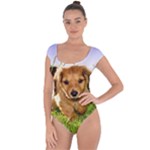 Puppy In Grass Short Sleeve Leotard 