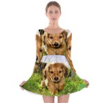 Puppy In Grass Long Sleeve Skater Dress