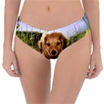 Puppy In Grass Reversible Classic Bikini Bottoms