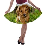 Puppy In Grass A-line Skater Skirt