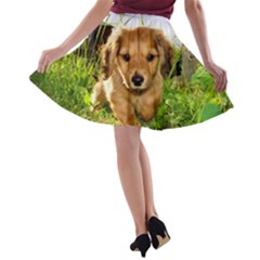 A-line Skater Skirt 