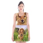 Puppy In Grass Scoop Neck Skater Dress